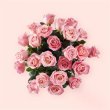 画像2: Long Stem Pink Rose Bouquet(PREMIUM) (2)