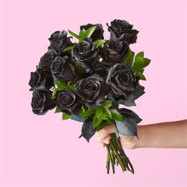 画像1: Black Roses Bouquet(12 Black Roses No Vase) (1)