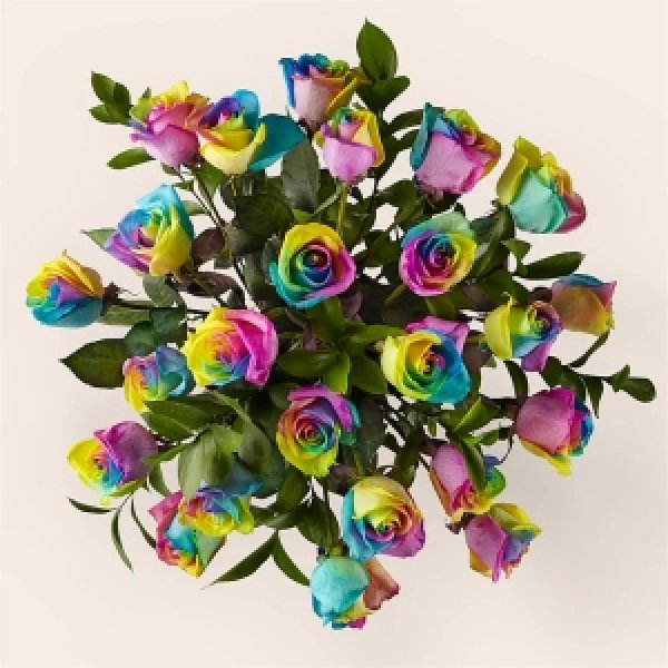 画像2: Rainbow Rose Bouquet (24 Roses No Vase) (2)