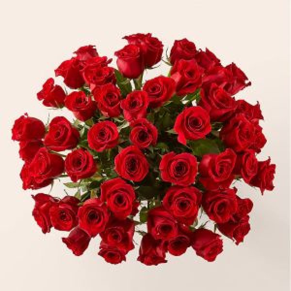画像3: Fifty Long Stem Red Roses with Vase (3)