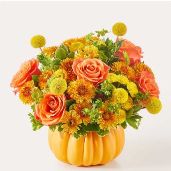 画像1: Gourdgeous Pumpkin (1)